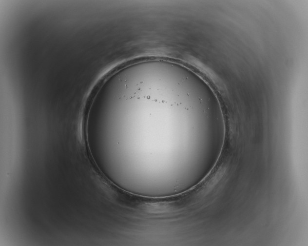 X0000102271272200807251342