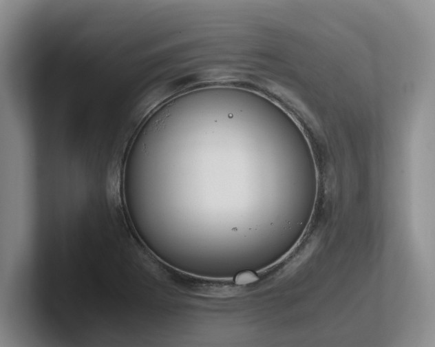X0000102271273200807251342