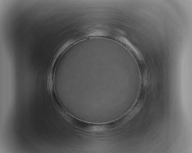 X0000102271274200807251342