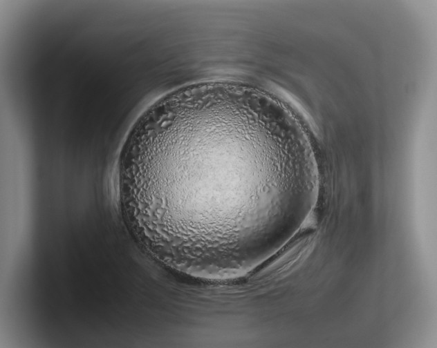 X0000102271275200807251342