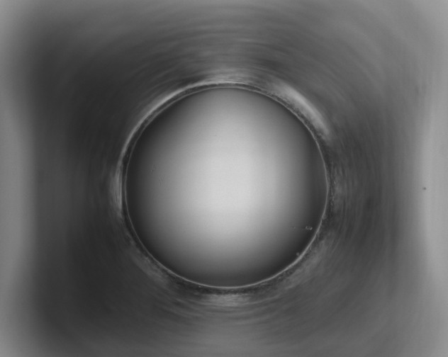 X0000102271276200807251342