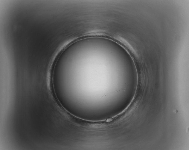 X0000102271277200807251342
