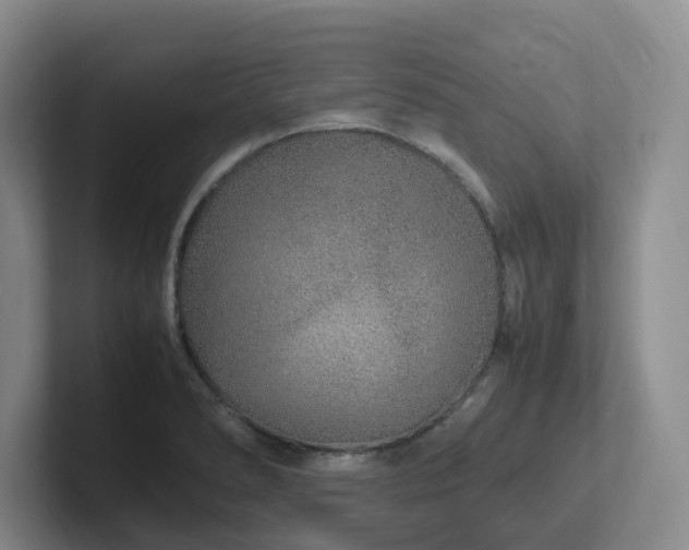 X0000102271278200807251342