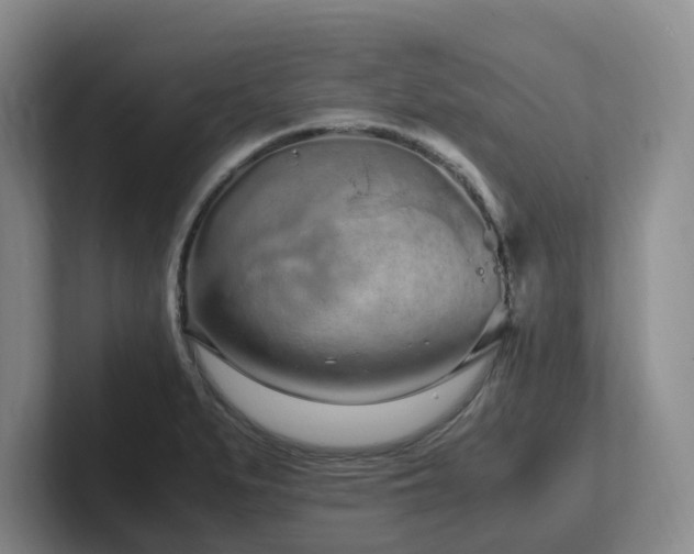X0000102271279200807251342