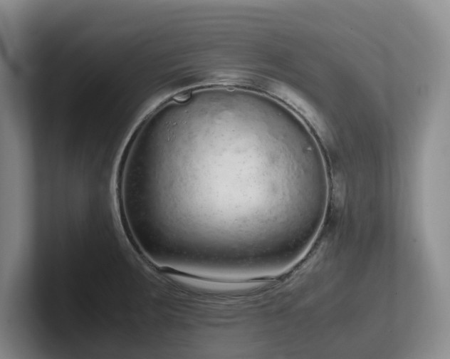 X0000102271283200807251342