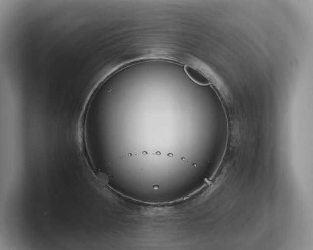 X0000102271284200807251342