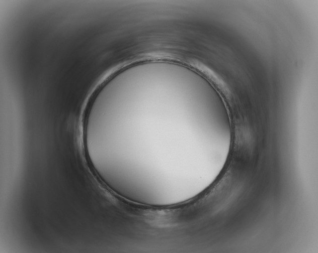 X0000102271286200807251342
