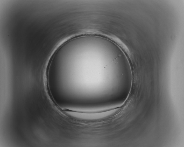 X0000102271287200807251342