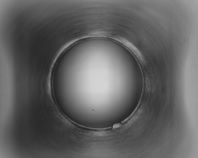 X0000102271288200807251342