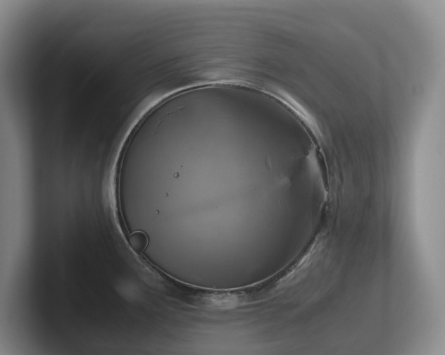 X0000102271291200807251342