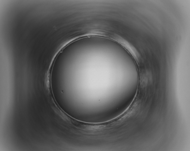 X0000102271292200807251342