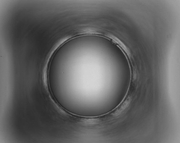X0000102271293200807251342