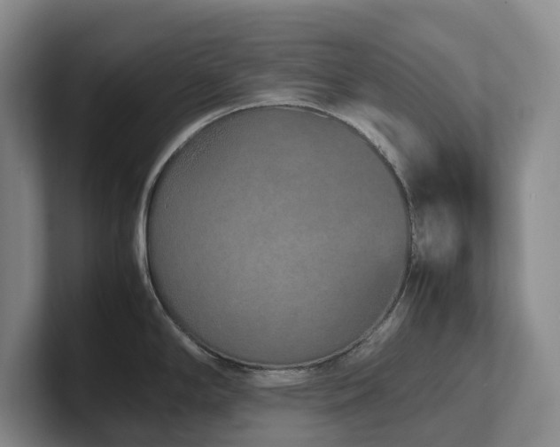 X0000102271294200807251342