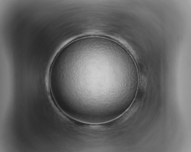 X0000102271295200807251342