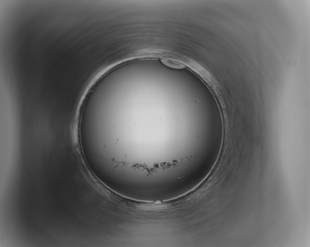 X0000102271296200807251342