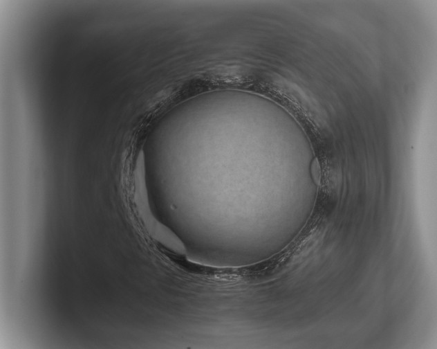 X0000102271297200807251341
