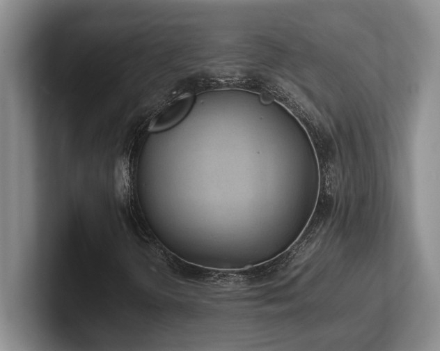 X0000102271298200807251341