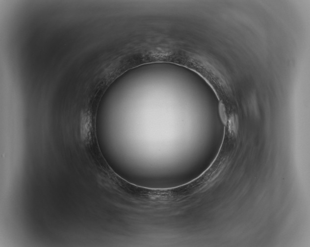 X0000102271299200807251341