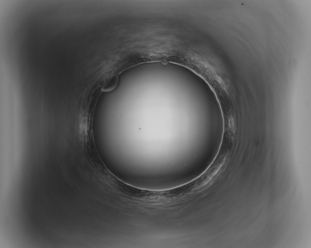 X0000102271300200807251341