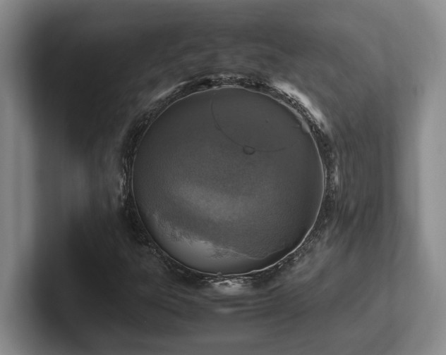 X0000102271303200807251341
