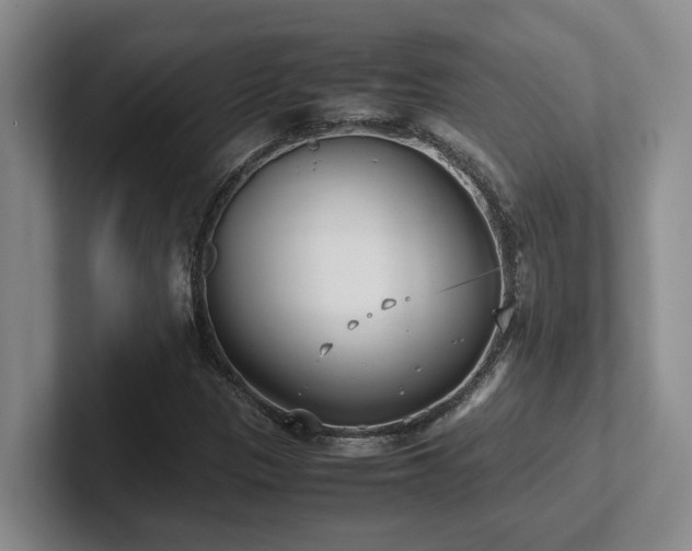 X0000102271305200807251341