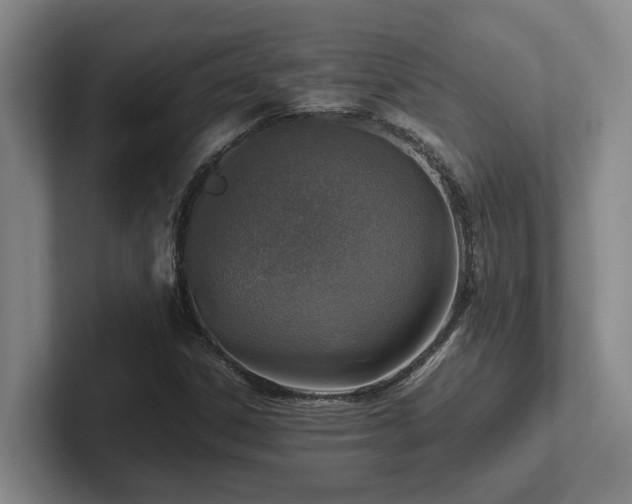 X0000102271306200807251341