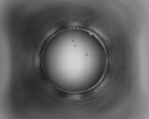 X0000102271309200807251341