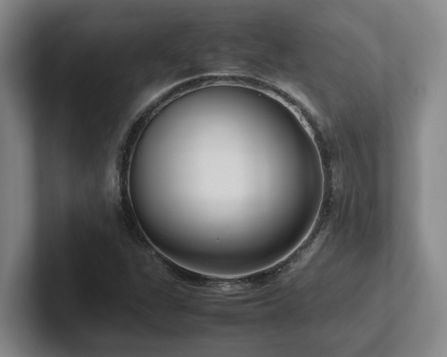 X0000102271311200807251341