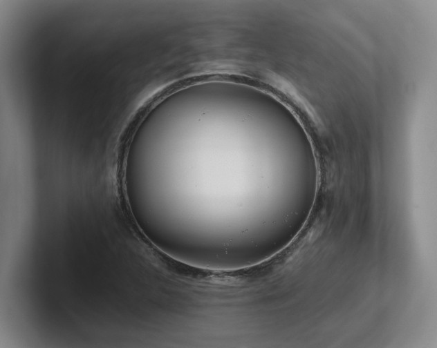 X0000102271312200807251341