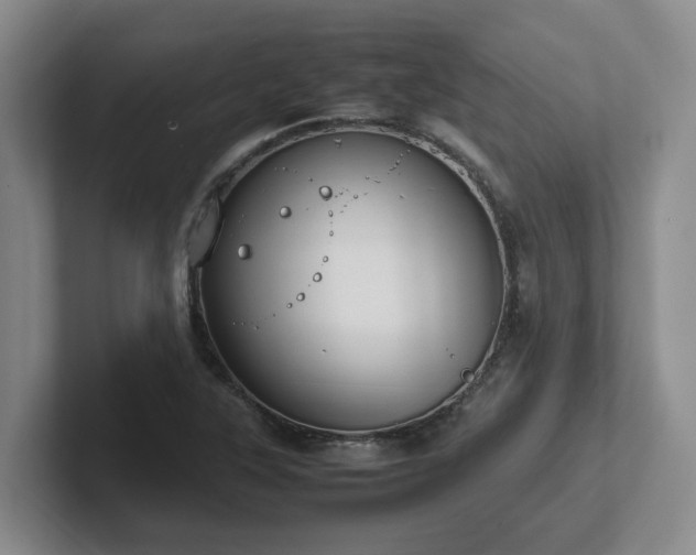 X0000102271315200807251341