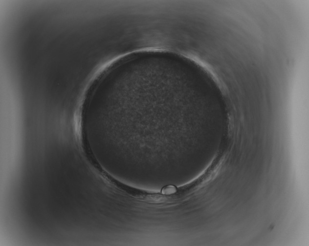 X0000102271319200807251341
