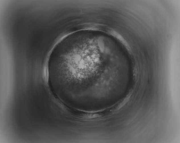 X0000102271323200807251341