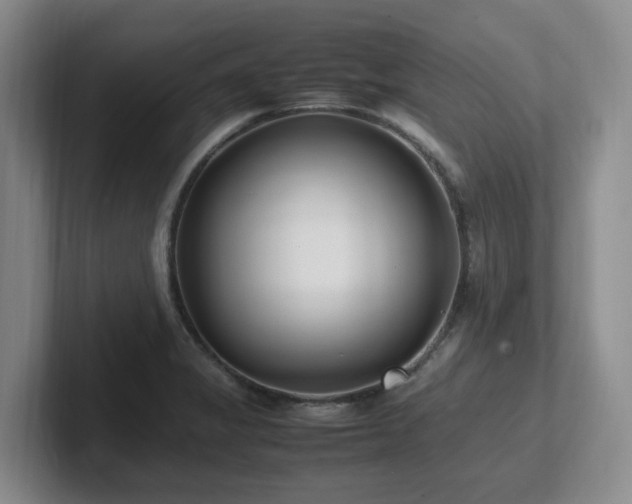 X0000102271325200807251341