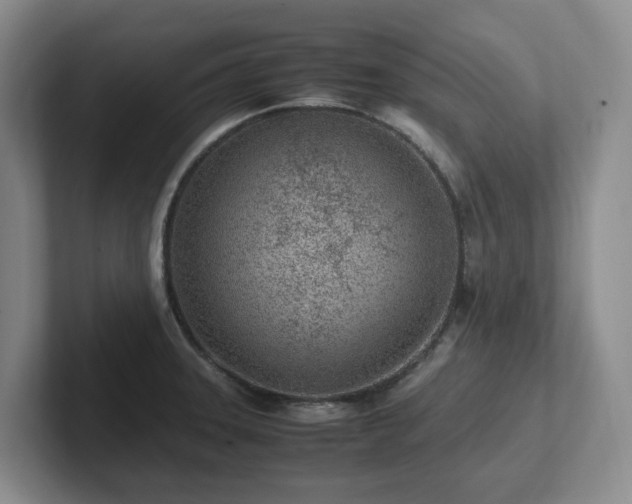 X0000102271331200807251341