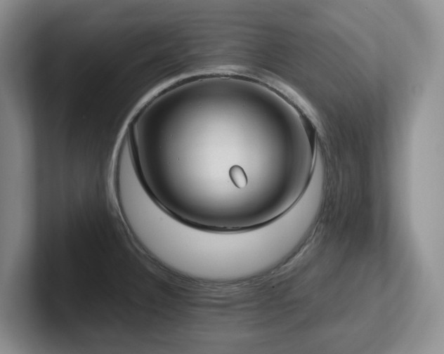 X0000102271332200807251342