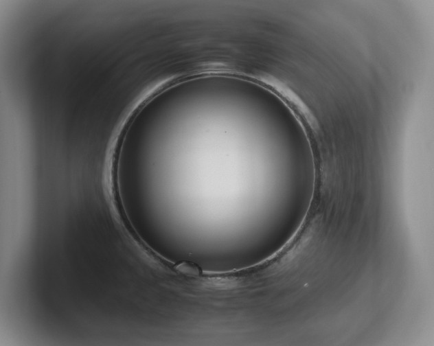 X0000102271333200807251342
