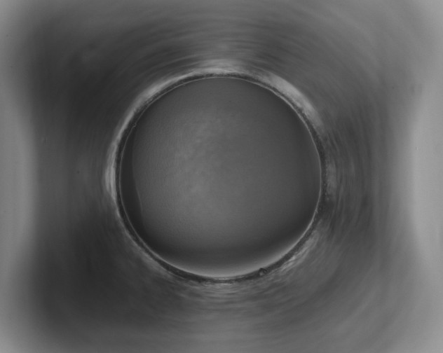 X0000102271334200807251342