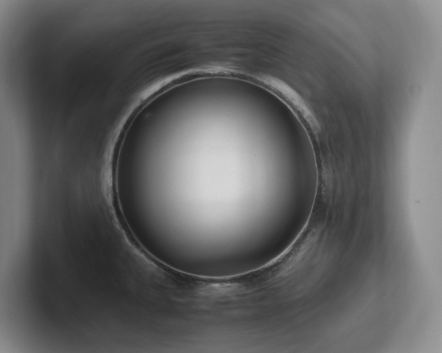 X0000102271335200807251342