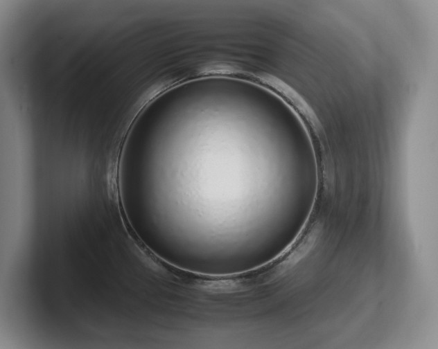 X0000102271337200807251342