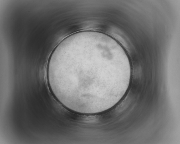 X0000102271338200807251342