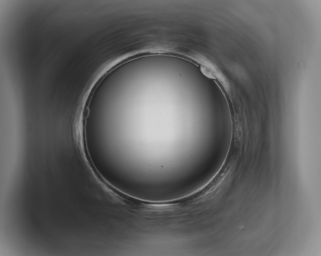 X0000102271343200807251342