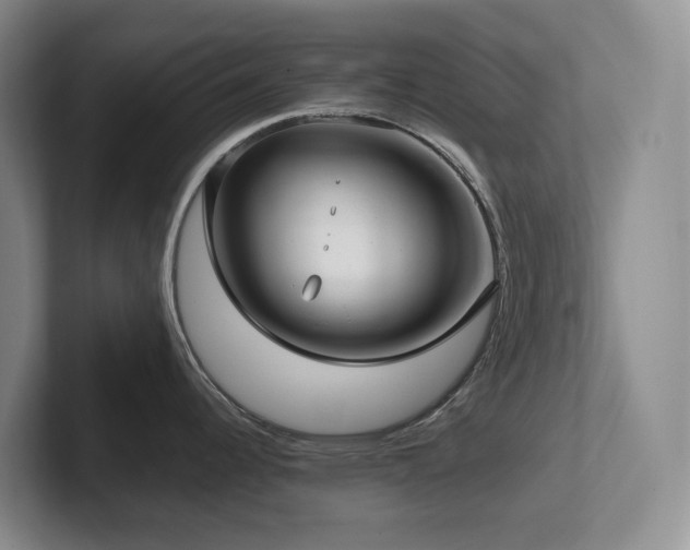 X0000102271344200807251342