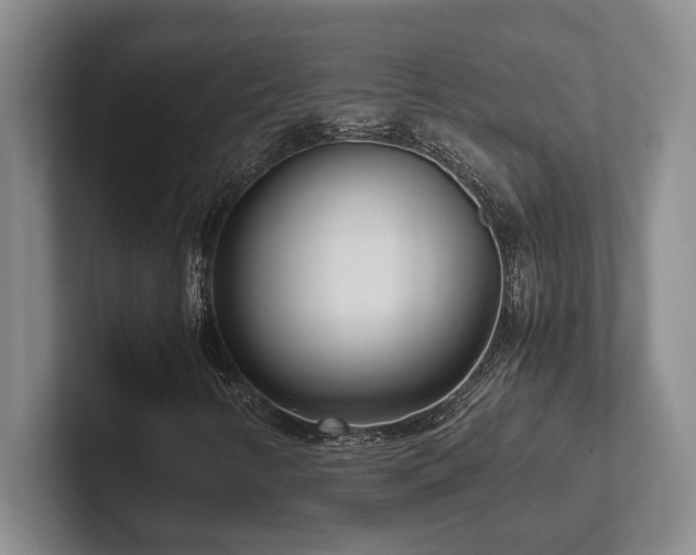 X0000102271346200807251341