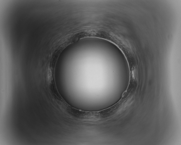 X0000102271347200807251341