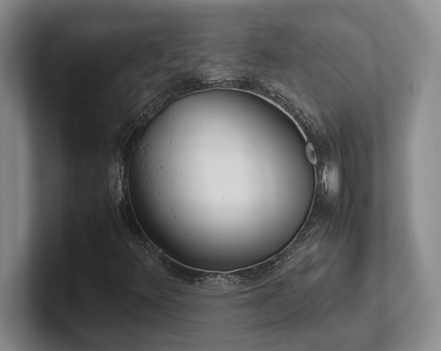 X0000102271348200807251341