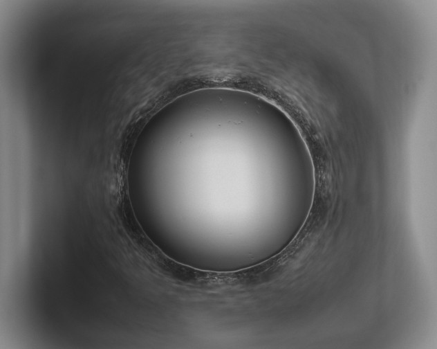 X0000102271349200807251341