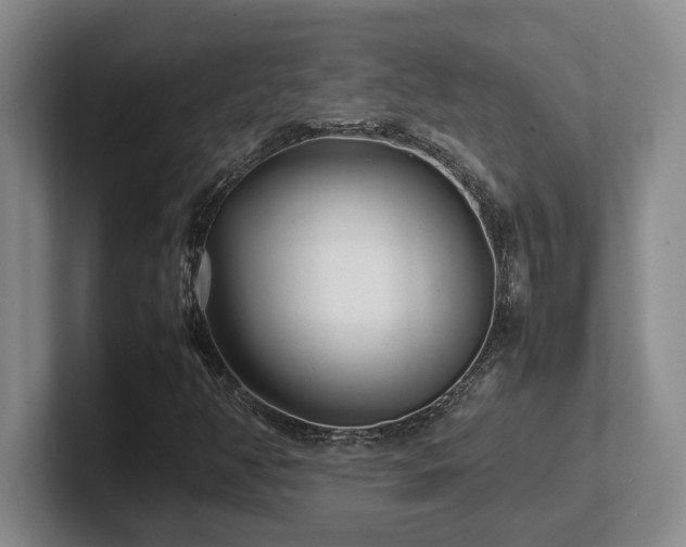 X0000102271350200807251341