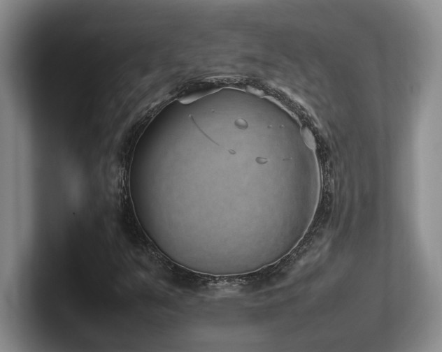 X0000102271351200807251341