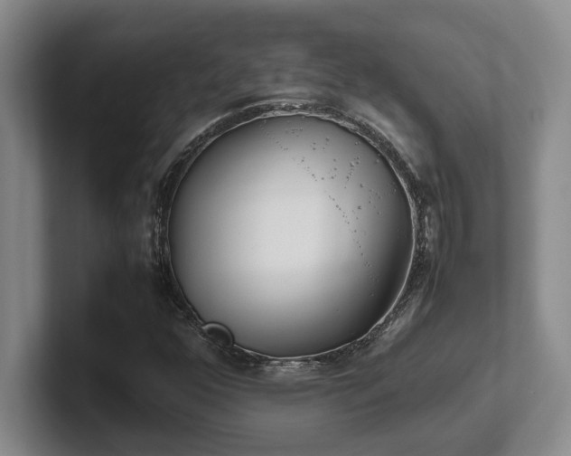 X0000102271352200807251341
