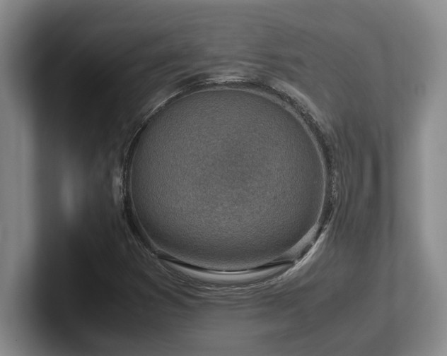 X0000102271353200807251341